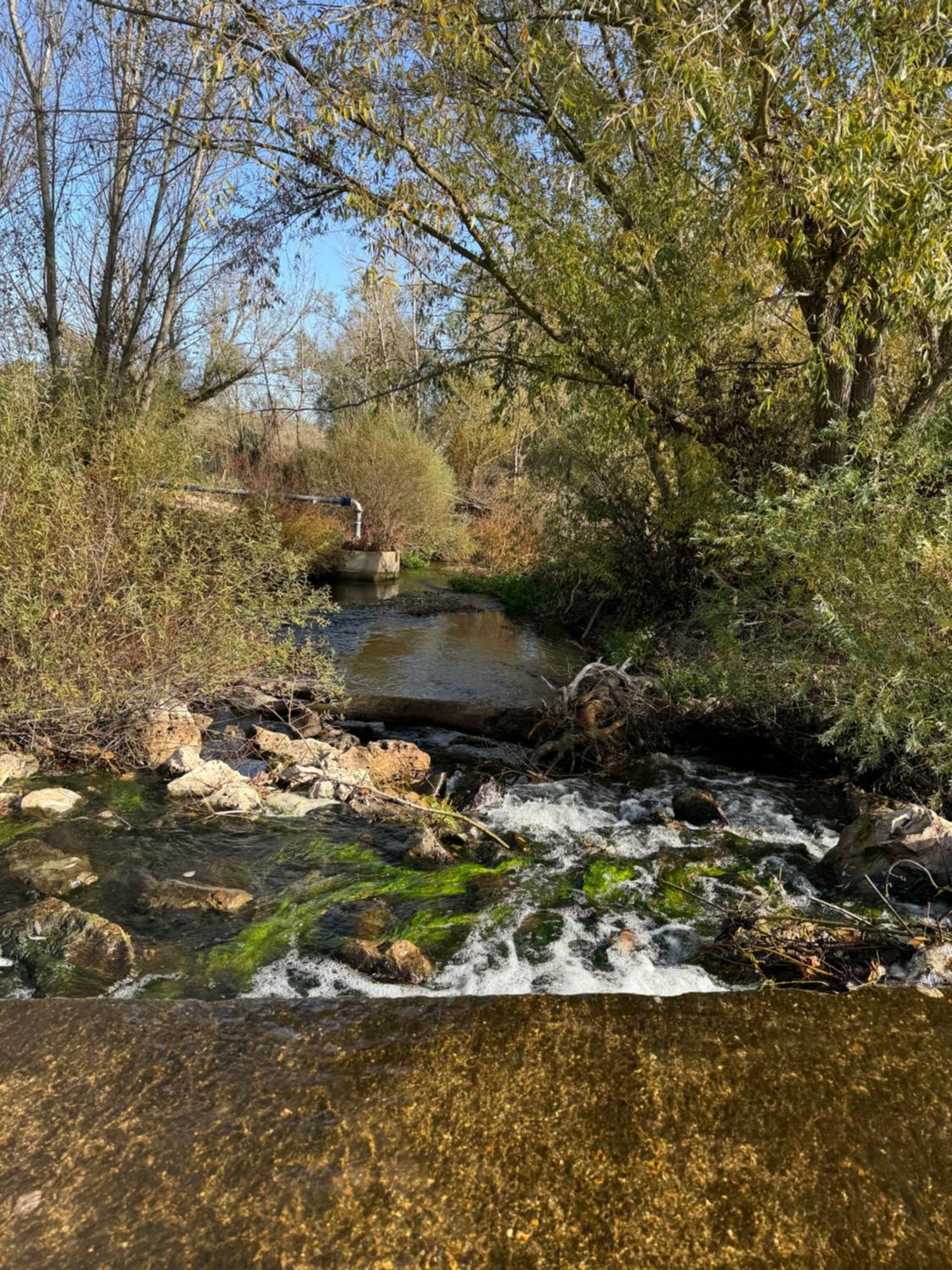 Las Gavias Βίλα Matapozuelos Εξωτερικό φωτογραφία